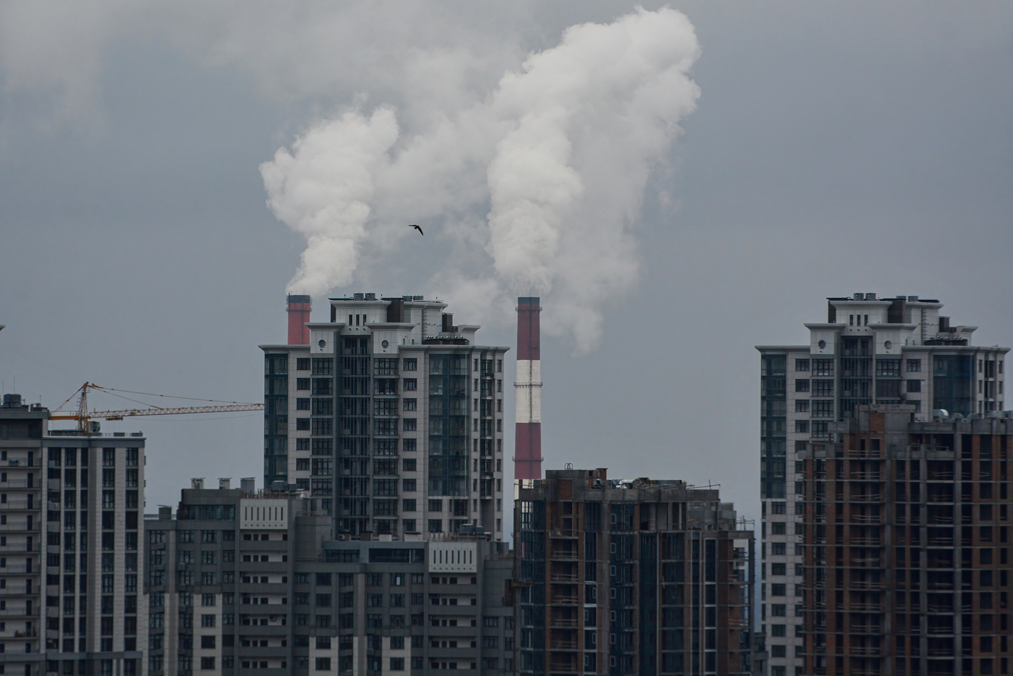 Інвестиції в житло під час війни: скільки реально заробити в Україні